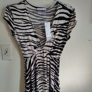Urban Outfitters Black and White Striped Maxi Dress